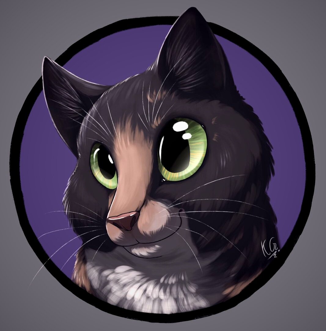 I make things sometimes but not always. he/him/hmm 🤔
Profile pic by @the_meep_lord