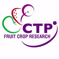 CTP-FCR (@ctp_fcr) 's Twitter Profile