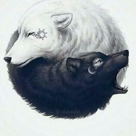 YoelMonroa76's profile picture. 