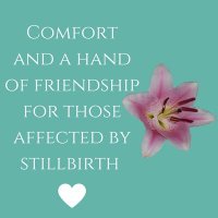 Comfort4stillbirth(@LilysComfort) 's Twitter Profile Photo