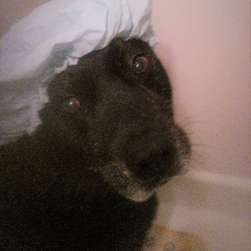 RobinNTouch's profile picture. Licensed Massage Therapist, Exercise Enthusiast, Twitter Rookie, --- thanks for being patient with me!