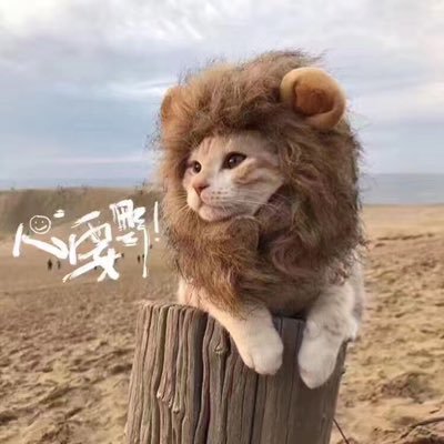 elliejiangcn's profile picture. 