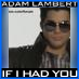 It is all about Adam!! So if you don't want to hear about him, don't follow!!