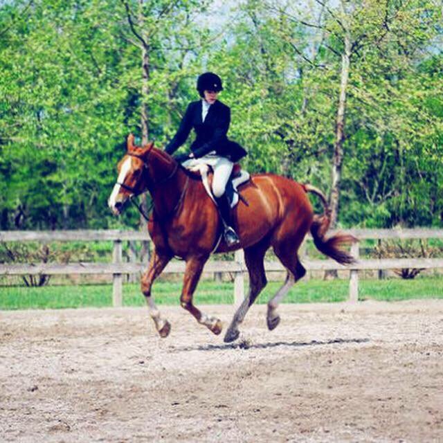 member of the Equestrian sports club team @ Georgia State University. tune in here for all things GA state equestrian related... lots of exciting news coming up