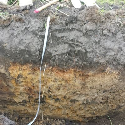 Lecturer, RMIT University
Scientist specialising in microbial ecology, soil biology, soil health, plant pathology. Interdisciplinary focus. Author.
She/Her.