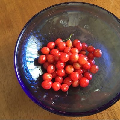 bondgairl's profile picture. 