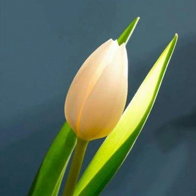 610_506's profile picture. 