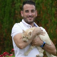 Jorgito64 (@jorgito_css) 's Twitter Profile