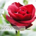 abhinav mohan - @engg22abhi - Twitter