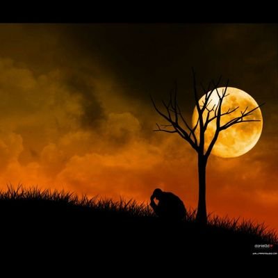 maas1060's profile picture. 