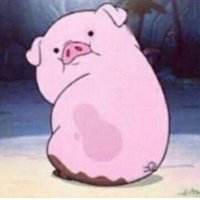 RTpig For Findommes (@rt_findompig) 's Twitter Profile