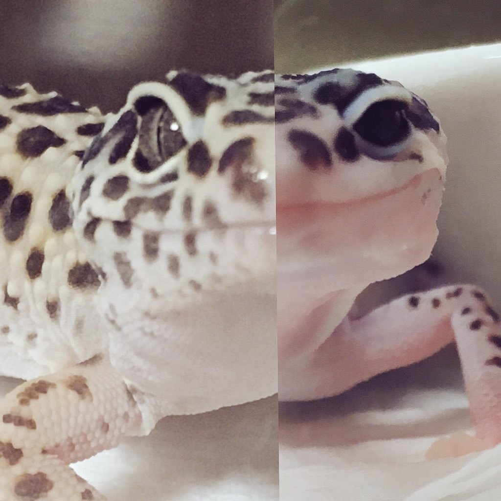 Chinaさんのプロフィール画像