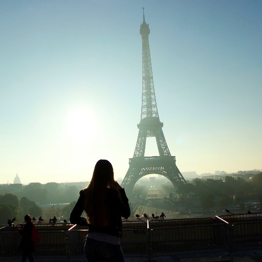 sarahstoetzner1's profile picture. 