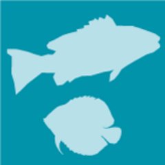 Fishes (ISSN 2410-3888, IF 2.3) is an international open access journal published monthly online by @MDPIOpenAccess. It covers #fishes and #aquatic animals