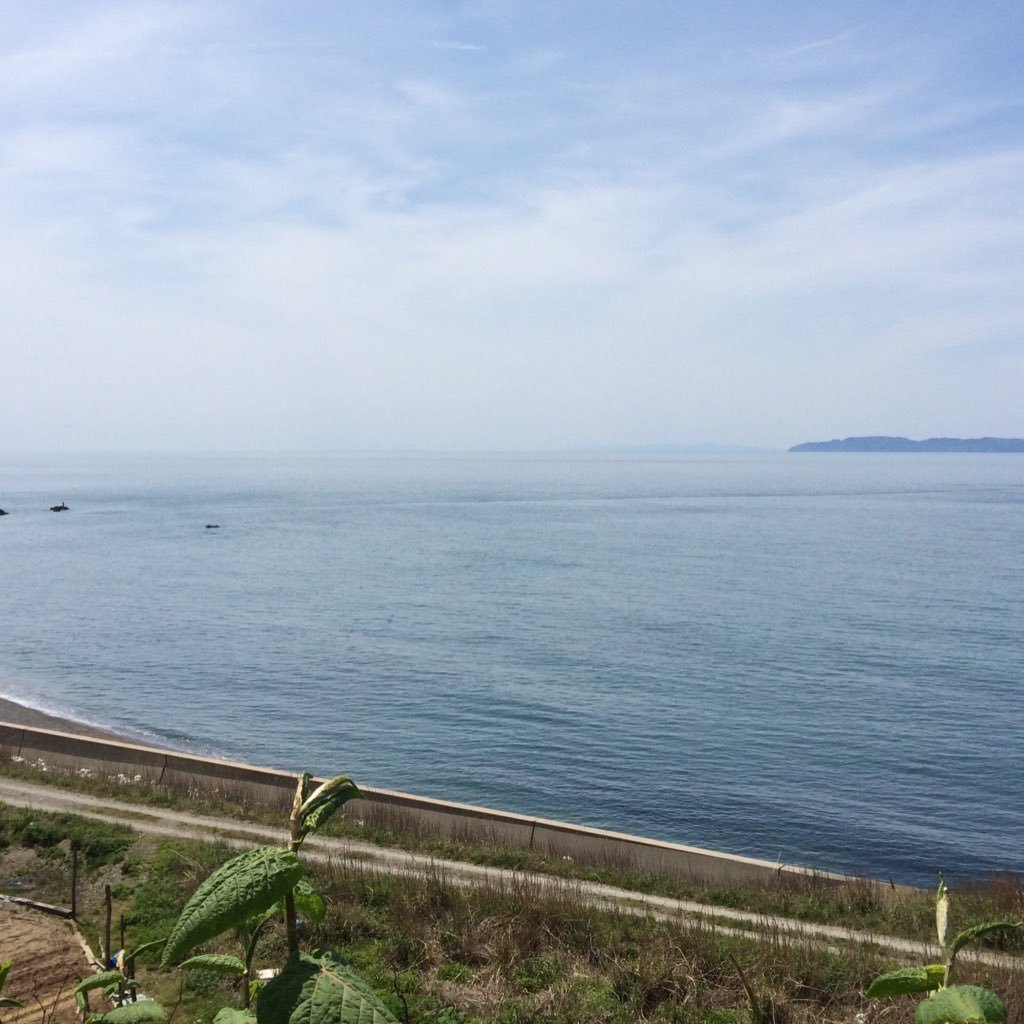 reirei8888's profile picture. 