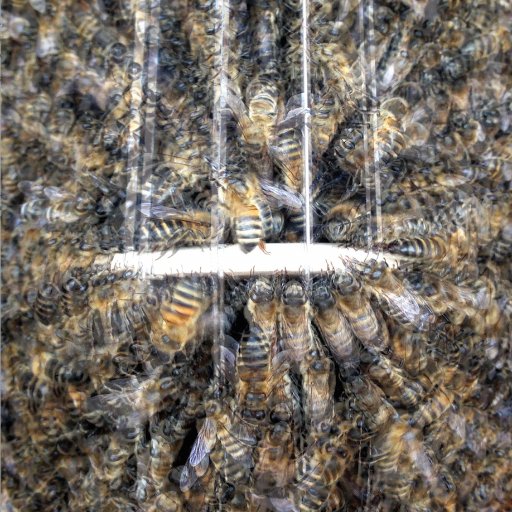 beeandman's profile picture. 