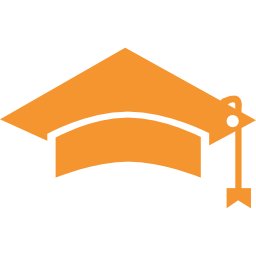 Your Professional Custom Essay Writing Service.