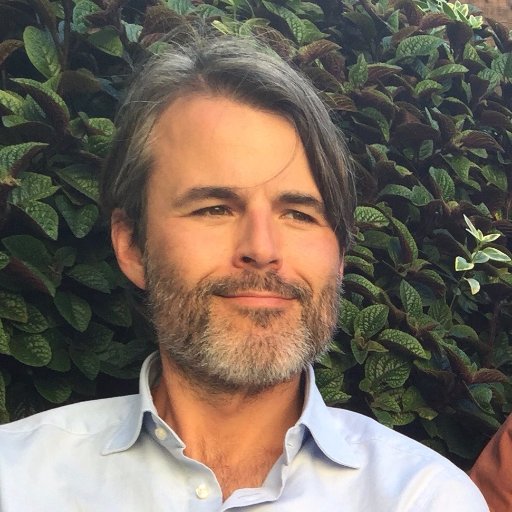 DistantRhythms's profile picture. 