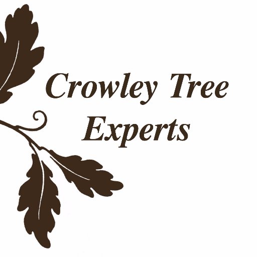 Full Service Professional Tree Company