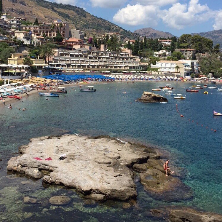 al_reem565's profile picture. 