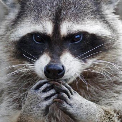 EcEugene23's profile picture. You will find me in your trash (it/that)