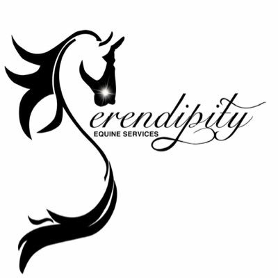 Serendipity Equine’s nonprofit mission is to encourage and enable physical, social, and behavioral growth, utilizing rescued horses as therapeutic partners.