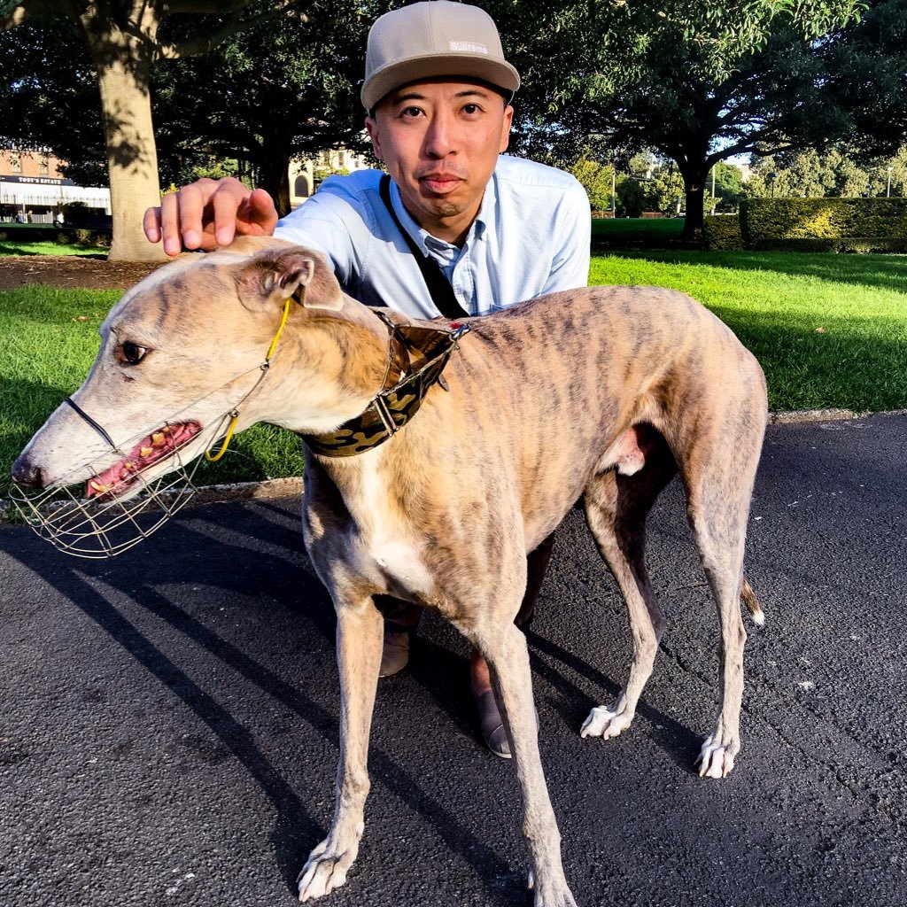 ChrisLau8886's profile picture. Creative blah blah 🙃😀