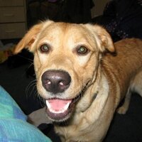 FiReBall (@fireball_972) 's Twitter Profile