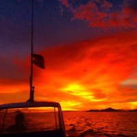 Komodo National Park (@komodonp) 's Twitter Profile