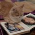 Roda Iltsiou (@rodailtsiou) Twitter profile photo Roda Iltsiou (@rodailtsiou) Twitter profile photo