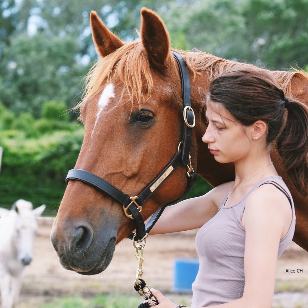 Blogueuse française vivant en Australie depuis Mars 2017 - Novembre 2017. Amoureuse des animaux, surtout des chats et des chevaux. Joueuse de Sims 4. 🐴