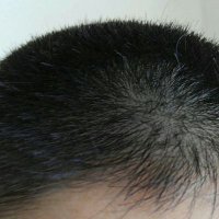 こんどろいちん (@bobin0828) Twitter profile photo