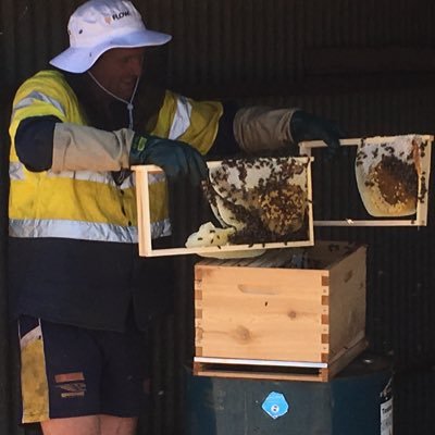 luke1439's profile picture. Great Southern farmer, just trying to keep a kelpie in-line