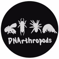 Invertebrate Systematics and Biodiversity Lab(@DNArthropods) 's Twitter Profile Photo