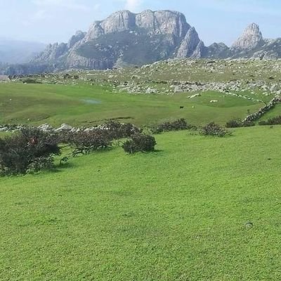 في ربوع بلادي X2ptxash31ceu3w Twitter