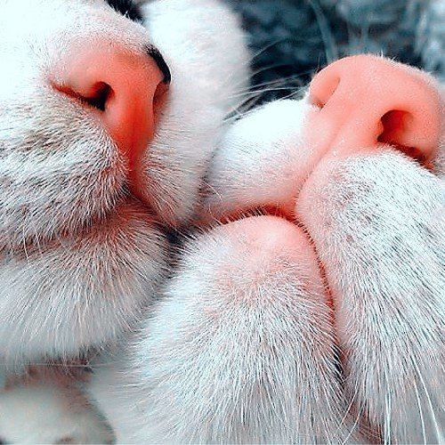 samadsidd11's profile picture. Inshan
Aur 
Inshaniyat..
Dono khtam hone jaa rhe hai