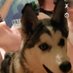 stanzi (@ridingonchrome) Twitter profile photo stanzi (@ridingonchrome) Twitter profile photo