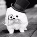 AlfredoPlayer (@alfredoplayer73) Twitter profile photo AlfredoPlayer (@alfredoplayer73) Twitter profile photo