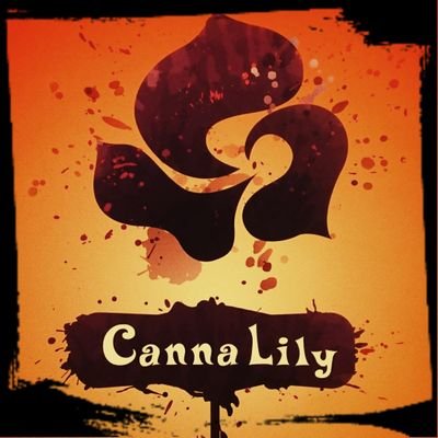 Canna Lily 隠れ家バル 梅田店 Canna Lily Twitter