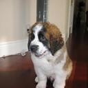 dan sanch - @dansanch - Twitter