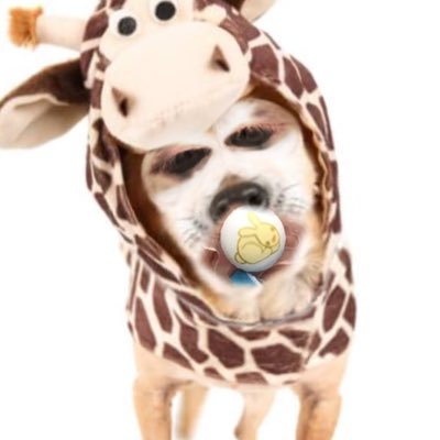 Jade85690981's profile picture. Harry Potter is life