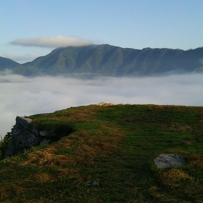 bonbobonbo's profile picture. 既存メディアの報道姿勢に対する違和感……