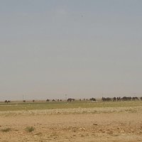 بن خيوط (@mutlag99mutlag) 's Twitter Profile