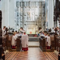 Choirs of St Albans(@StACathChoirs) 's Twitter Profile Photo