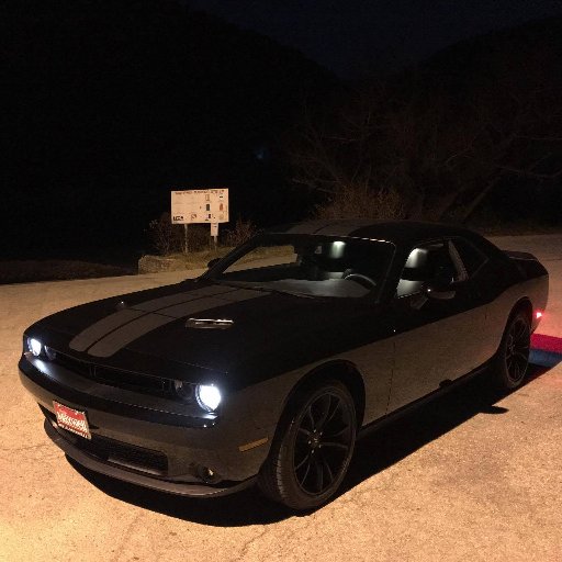 dsakey's profile picture. top notch