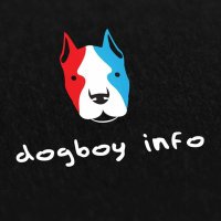 dogboyinfo(@dogboyinfo) 's Twitter Profile Photo