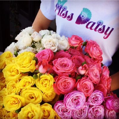Fresh. Flowers. Daily. Miss Daisy is a full-service floral design company that strives to meet all your event planning needs.