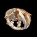 Merrill_Lab (@amymerrill_lab) Twitter profile photo Merrill_Lab (@amymerrill_lab) Twitter profile photo