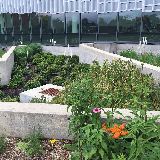 Consistently on the cutting edge of stormwater and green infrastructure research, design, and management. Proud members of the @NCSU Wolfpack and @NCState_BAE.