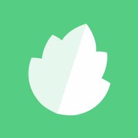 Minty Studios (@mintystudios) 's Twitter Profile